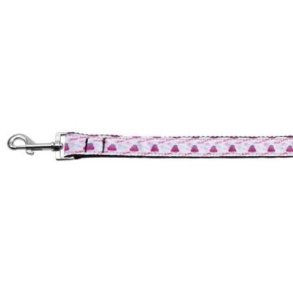 Cakes and Wishes Nylon Ribbon Pet Leash 1 wide 4ft