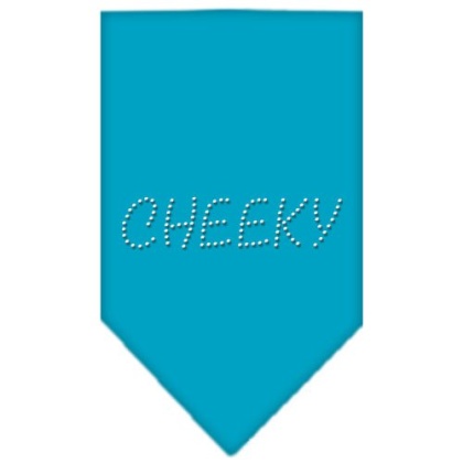 Cheeky Rhinestone Bandana Turquoise Large