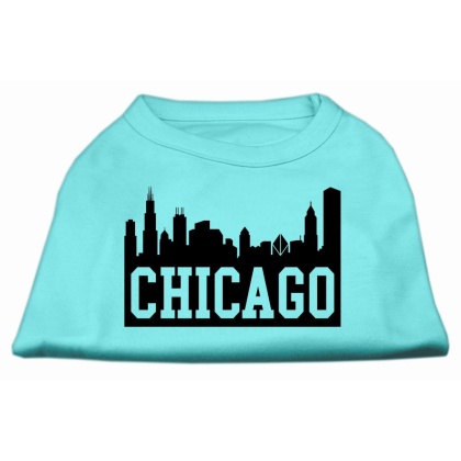 Chicago Skyline Screen Print Shirt Aqua Lg