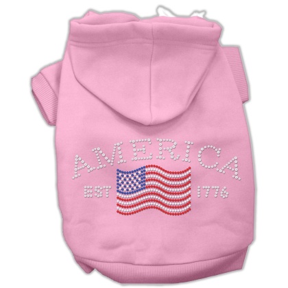 Classic American Hoodies Pink L