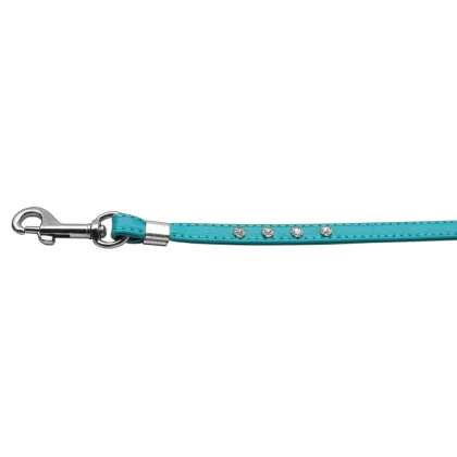 Clear Crystal Leash Turquoise Silver Hardware