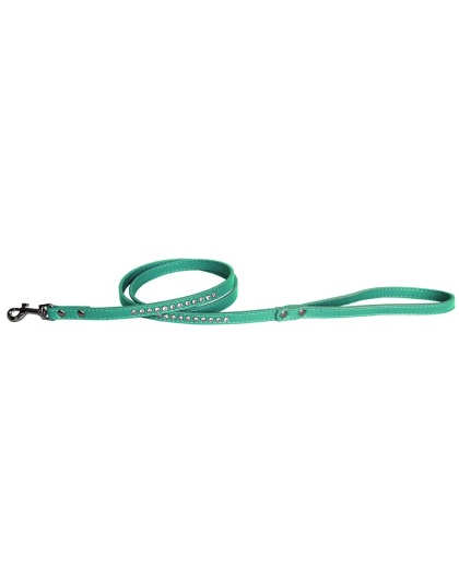 Clear jewel pet leash 1/2" wide x 4' long Aqua