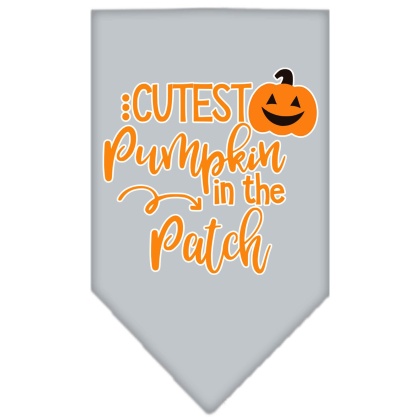 Cutest Pumpkin in the Patch Screen Print Bandana Grey Large