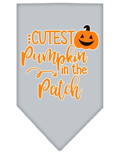 Cutest Pumpkin in the Patch Screen Print Bandana Grey Large