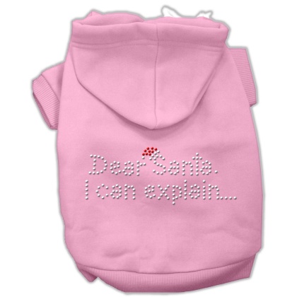 Dear Santa I Can Explain Hoodies Pink L