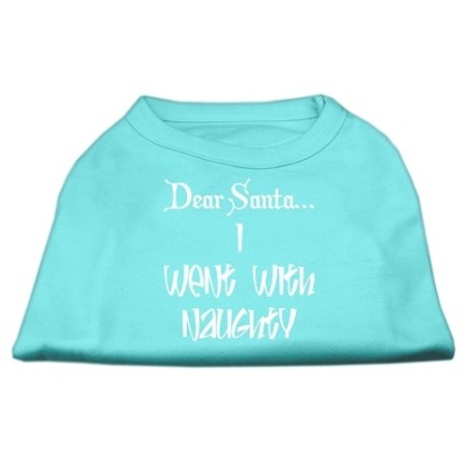 Dear Santa I Went with Naughty Screen Print Shirts Aqua Lg