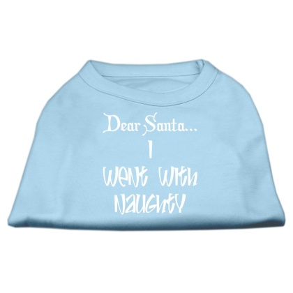 Dear Santa I Went with Naughty Screen Print Shirts Baby Blue Lg