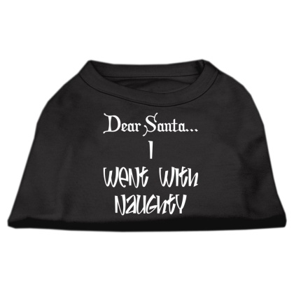 Dear Santa I Went with Naughty Screen Print Shirts Black Lg