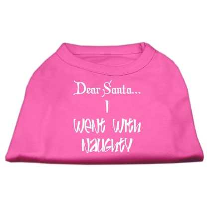 Dear Santa I Went with Naughty Screen Print Shirts Bright Pink Lg
