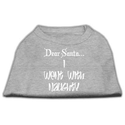 Dear Santa I Went with Naughty Screen Print Shirts Grey Lg