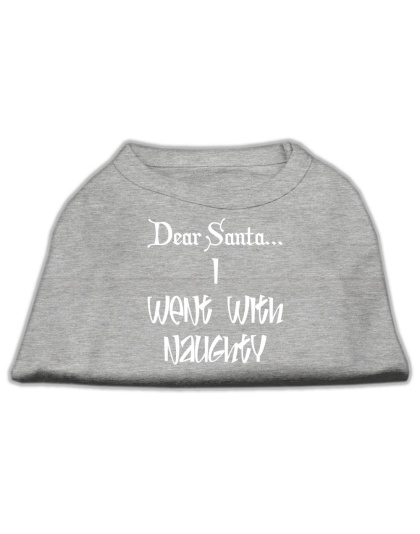 Dear Santa I Went with Naughty Screen Print Shirts Grey Lg