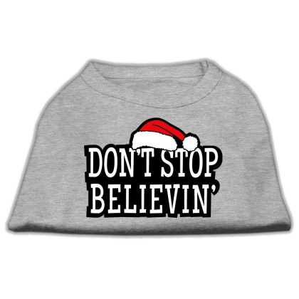 Don't Stop Believin' Screenprint Shirts Grey L