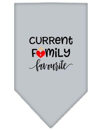 Family Favorite Screen Print Bandana Grey Large