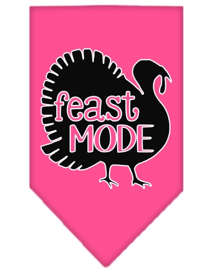 Feast Mode Screen Print Bandana Bright Pink Large