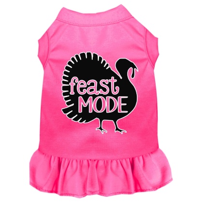 Feast Mode Screen Print Dog Dress Bright Pink 4X