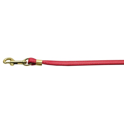 Flat Plain Leashes Red Gold Hardware