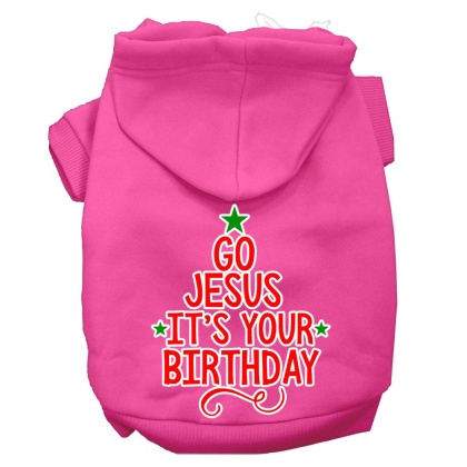 Go Jesus Screen Print Dog Hoodie Bright Pink L