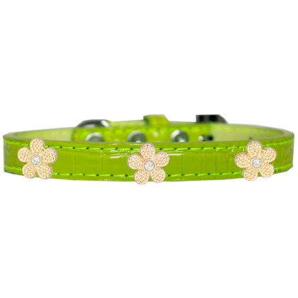 Gold Flower Widget Croc Dog Collar Lime Green Size 10