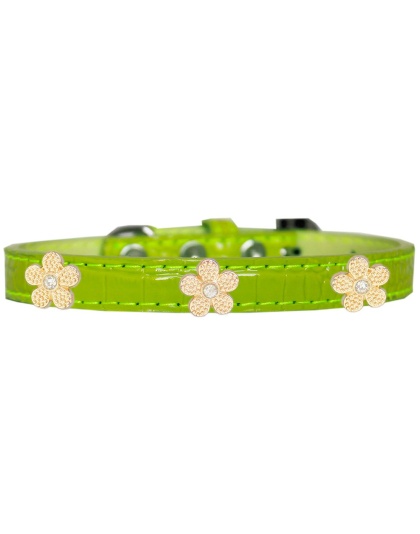 Gold Flower Widget Croc Dog Collar Lime Green Size 10