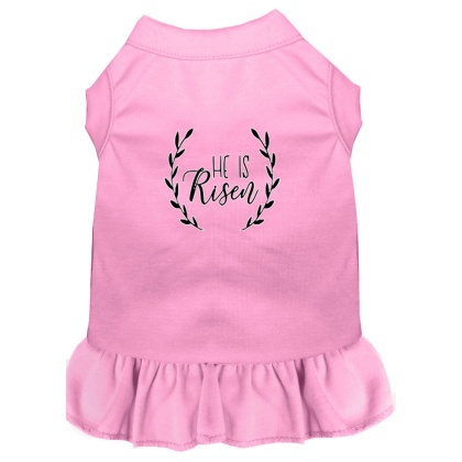 He Is Risen Screen Print Dog Dress Light Pink 4X (22)