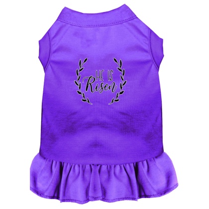 He Is Risen Screen Print Dog Dress Purple 4X (22)