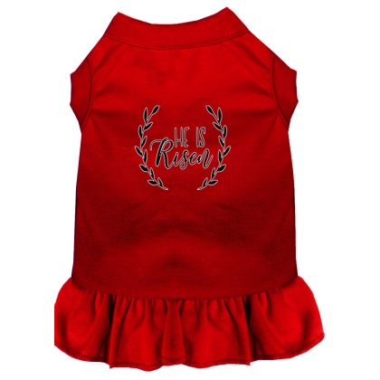 He Is Risen Screen Print Dog Dress Red 4X (22)