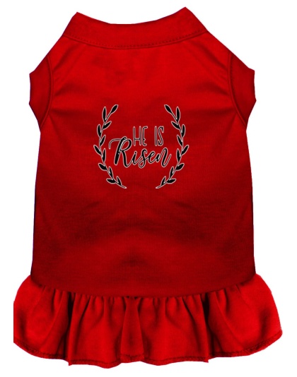 He Is Risen Screen Print Dog Dress Red 4X (22)
