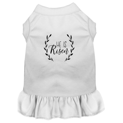 He Is Risen Screen Print Dog Dress White 4X (22)