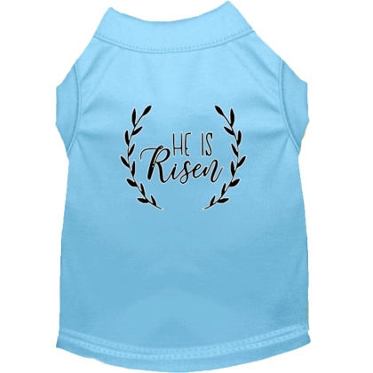 He Is Risen Screen Print Dog Shirt Baby Blue Lg