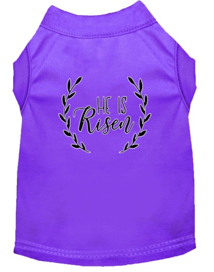 He Is Risen Screen Print Dog Shirt Purple Lg