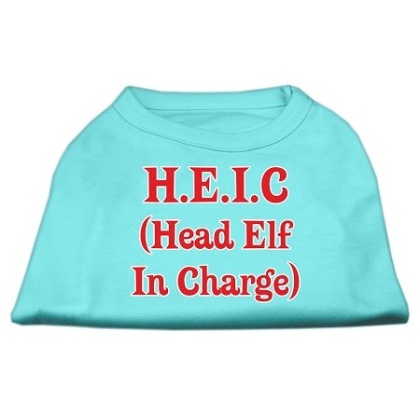 Head Elf In Charge Screen Print Shirt Aqua Lg