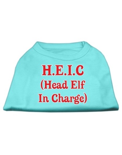 Head Elf In Charge Screen Print Shirt Aqua Lg