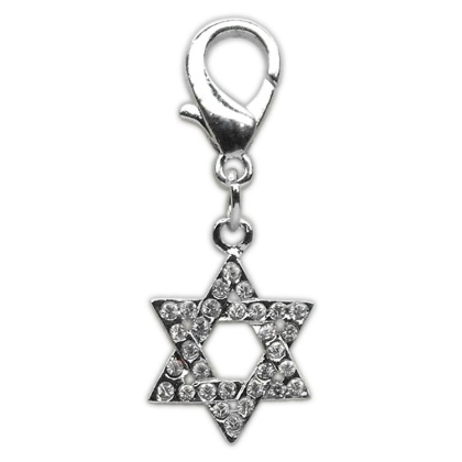 Holiday lobster claw charms / zipper pulls Star of David