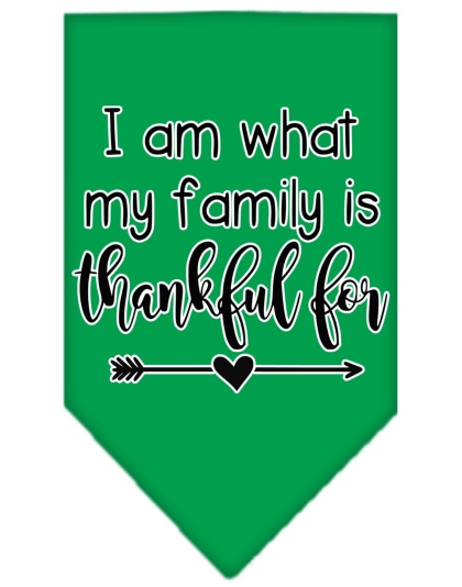 I Am What My Family is Thankful For Screen Print Bandana Emerald Green Large