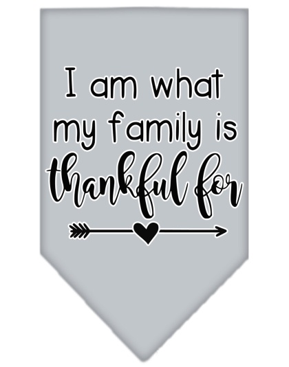 I Am What My Family is Thankful For Screen Print Bandana Grey Large