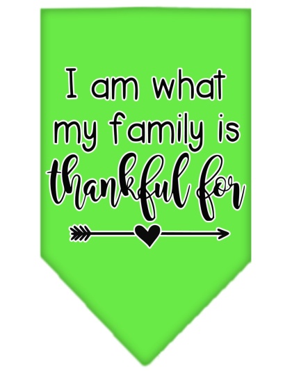 I Am What My Family is Thankful For Screen Print Bandana Lime Green Large