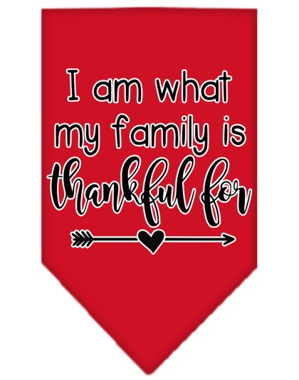 I Am What My Family is Thankful For Screen Print Bandana Red Large
