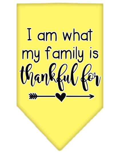 I Am What My Family is Thankful For Screen Print Bandana Yellow Large
