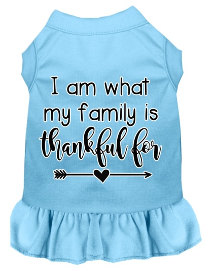 I Am What My Family is Thankful For Screen Print Dog Dress Baby Blue 4X