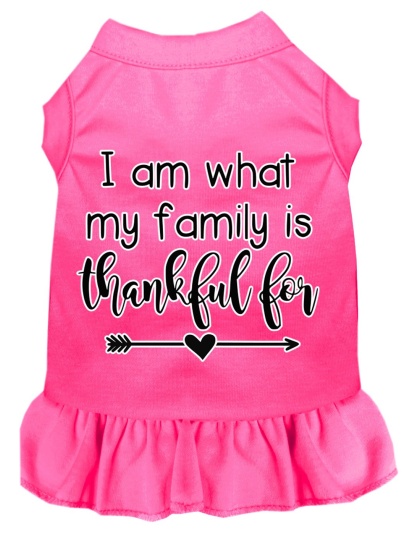I Am What My Family is Thankful For Screen Print Dog Dress Bright Pink 4X