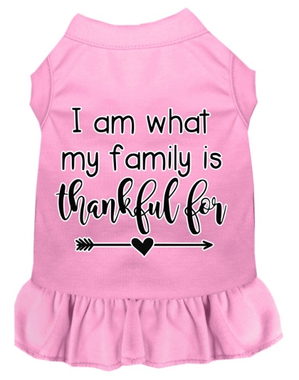 I Am What My Family is Thankful For Screen Print Dog Dress Light Pink 4X