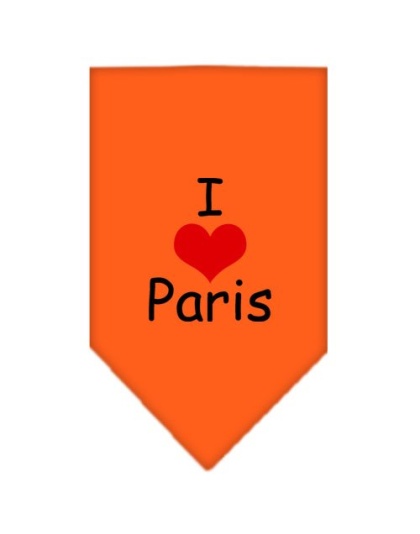 I Heart Paris Screen Print Bandana Orange Large