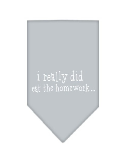 I really did eat the Homework Screen Print Bandana Grey Large
