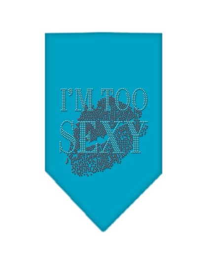 I'm Too Sexy Rhinestone Bandana Turquoise Large