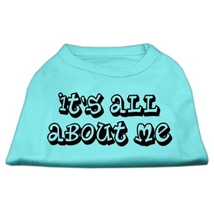 It's All About Me Screen Print Shirts Aqua Lg