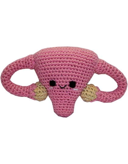 Knit Knacks Super Uterus Organic Cotton Small Dog Toy