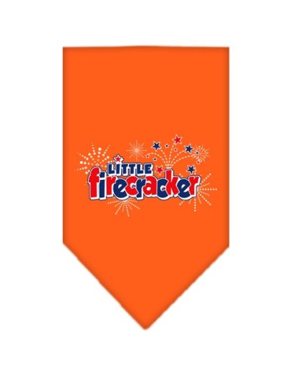 Little Firecracker Screen Print Bandana Orange Large