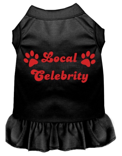 Local Celebrity Screen Print Dress Black 4X (22)