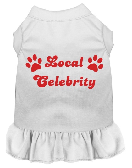 Local Celebrity Screen Print Dress White 4X (22)