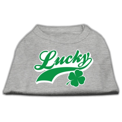 Lucky Swoosh Screen Print Shirt Grey Lg